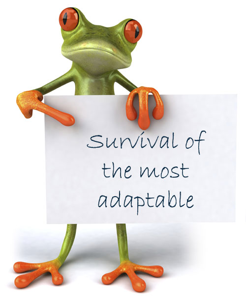 frog-survival-of-adaptable